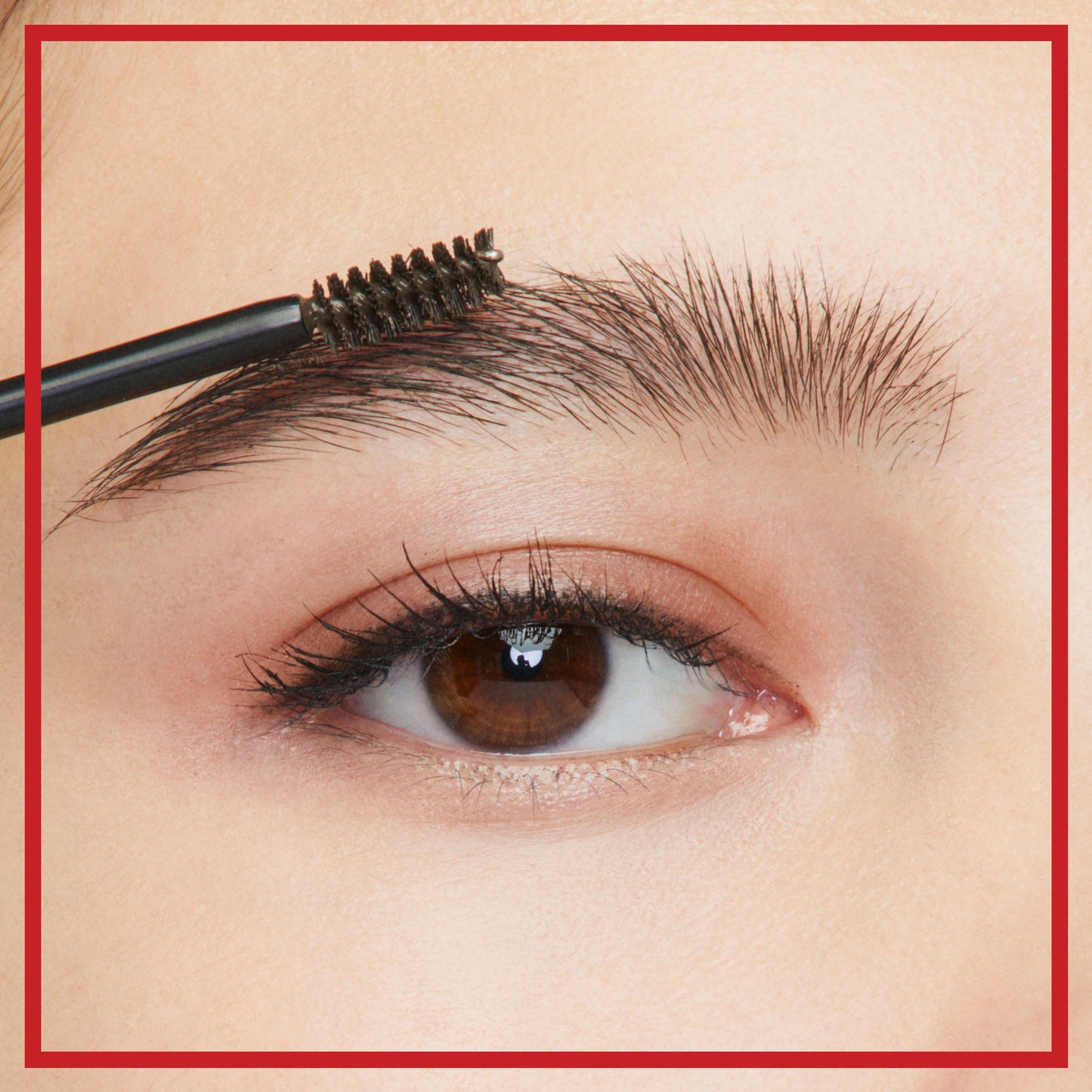 Maybelline BROW SATIN DEFINE + FILL DUO