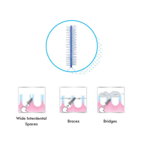 Cleo-Dent Interdental Brush